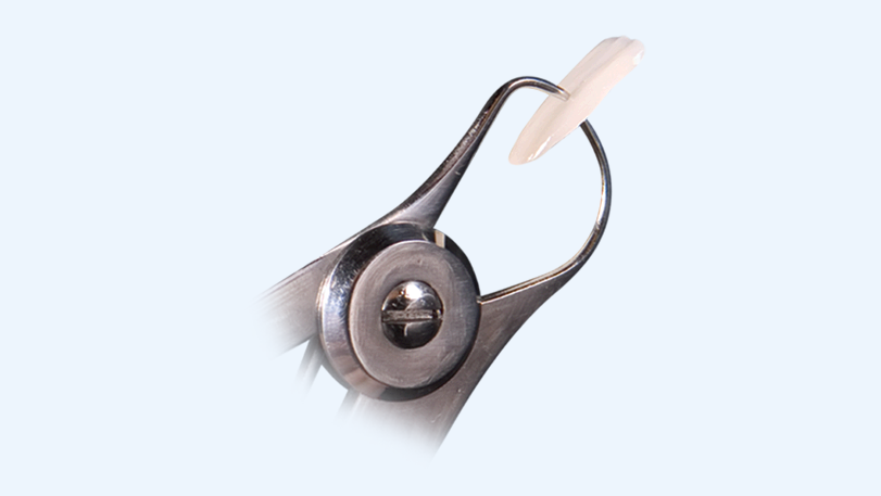 prismatik-thinpress-veneers
